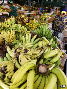 Bananas at a market on the French Caribbean island of La Martinique