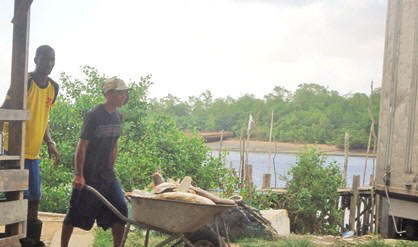 Een visser vervoert zijn vangst na een lange dag werken. Door de aanhoudende droogte hebben vissers in Nickerie het moeilijk.