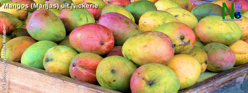 Mango's (Manjas) uit Nickerie - Suriname. Locale benaming Roodborstje (in Sarnamie: Sindhuriya Aam)