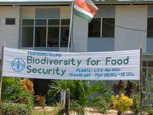 Foto: Het ministerie van LVV Regio West is belast met de organisatie van een landbouwtentoonstelling in het district Nickerie, waarvan het thema Biodiversiteit voor voedselzekerheid is.