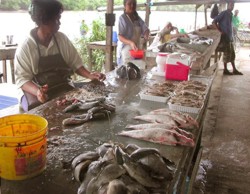 Vis- en vleesproducten werden vr 22 maart zonder de gestelde eisen ter bescherming van de volksgezondheid aan de man gebracht op de visafdeling van de markt.-.